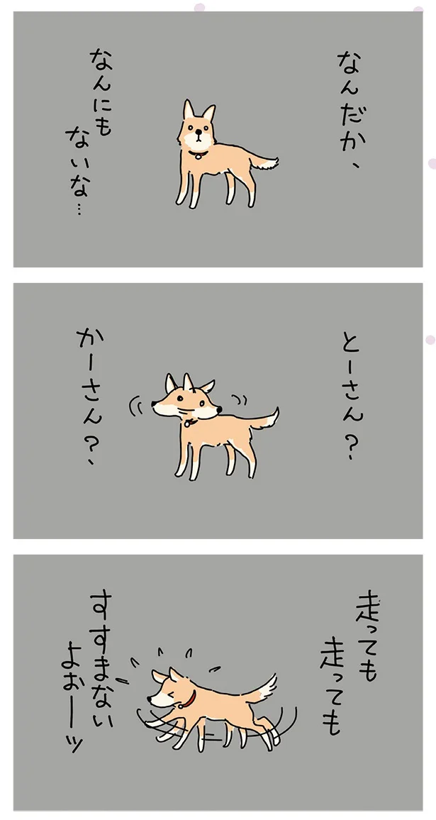 なんにもないな…