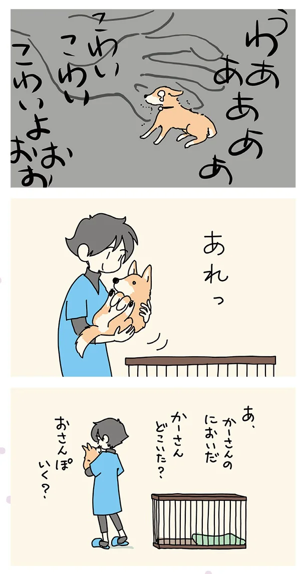 おさんぽいく？