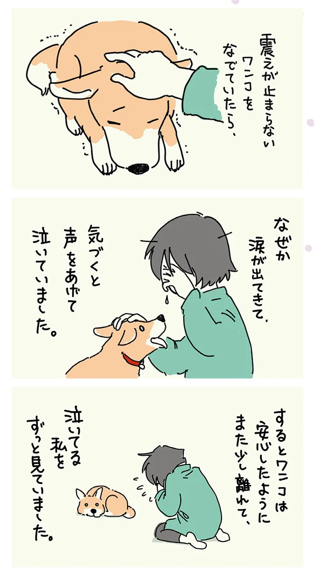 泣いてる私をずっと見ていました
