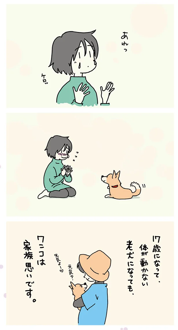 老犬になっても