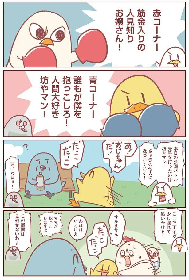 本日の公園バトル