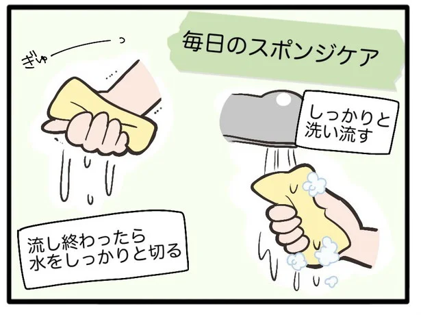 毎日のスポンジケア