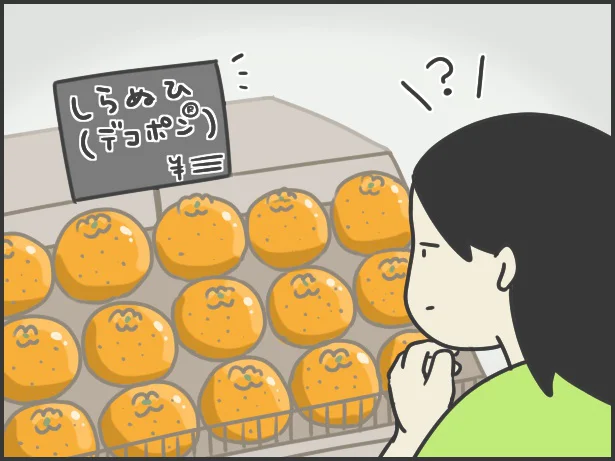デコポン(R)としらぬひって同じものなの?どういう関係?