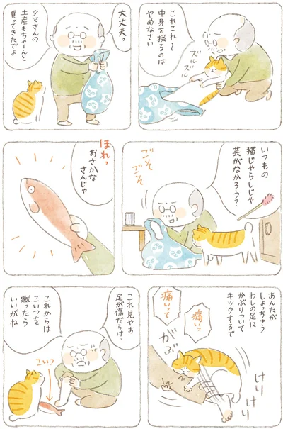 おさかなさんじゃ