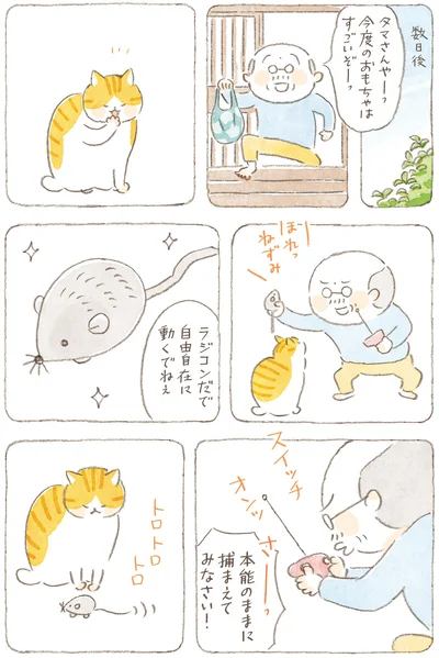 本能のままに捕まえてみなさい！