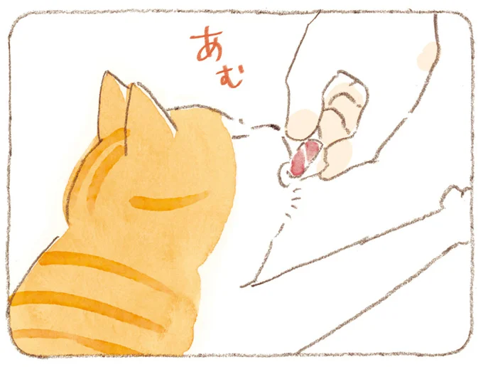 猫におすそ分け