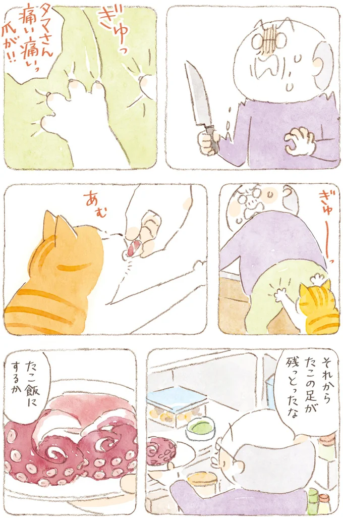 たこ飯にするか