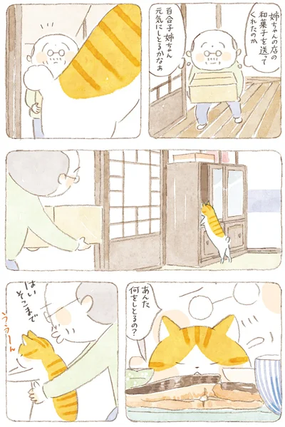 あんた何をしとるの？
