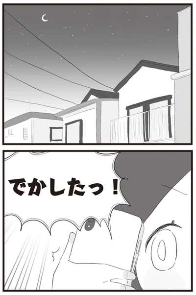 でかしたっ！