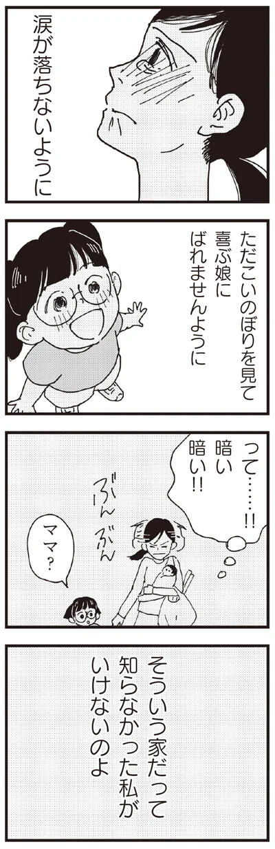 そういう家だって知らなかった私がいけないのよ