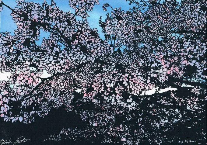 画面いっぱいに咲く桜がお見事