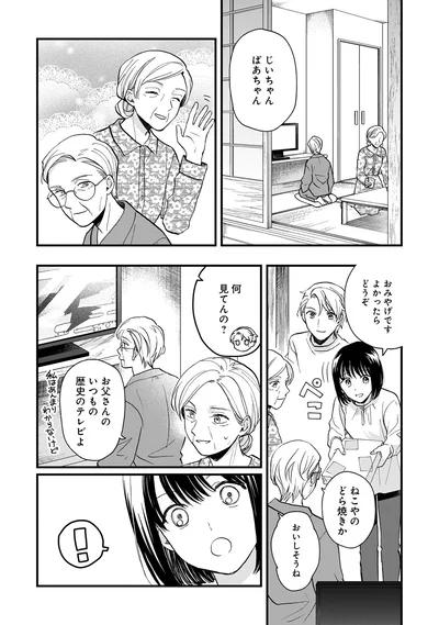 いつもの歴史のテレビよ