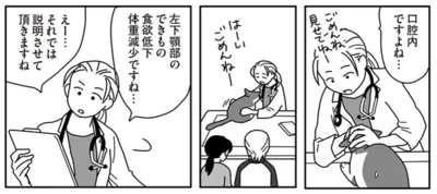それでは説明させて頂きますね