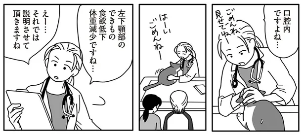 それでは説明させて頂きますね