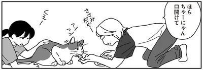 ほら　ちゃーにゃん口開けて