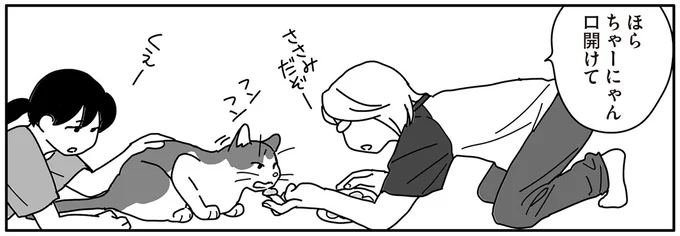 ほら　ちゃーにゃん口開けて