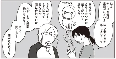 そろそろカラーをつけたほうがいいと思うんだ