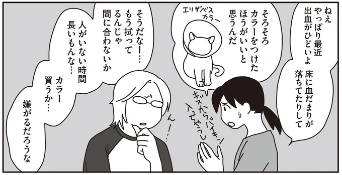 そろそろカラーをつけたほうがいいと思うんだ