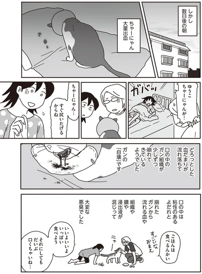 すぐ拭いたけるからね