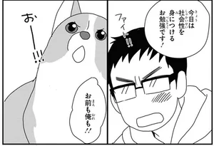お友だちできるかな？ビビリのコーギーと大きなドッグランへ行ってみたら／あしょんでよッ ～うちの犬ログ～10（1）