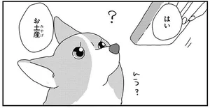 コーギー飼いあるある？食パンを見るとつい反応してしまう！／あしょんでよッ ～うちの犬ログ～10（3）