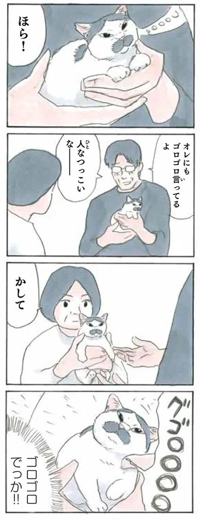使い分けてる