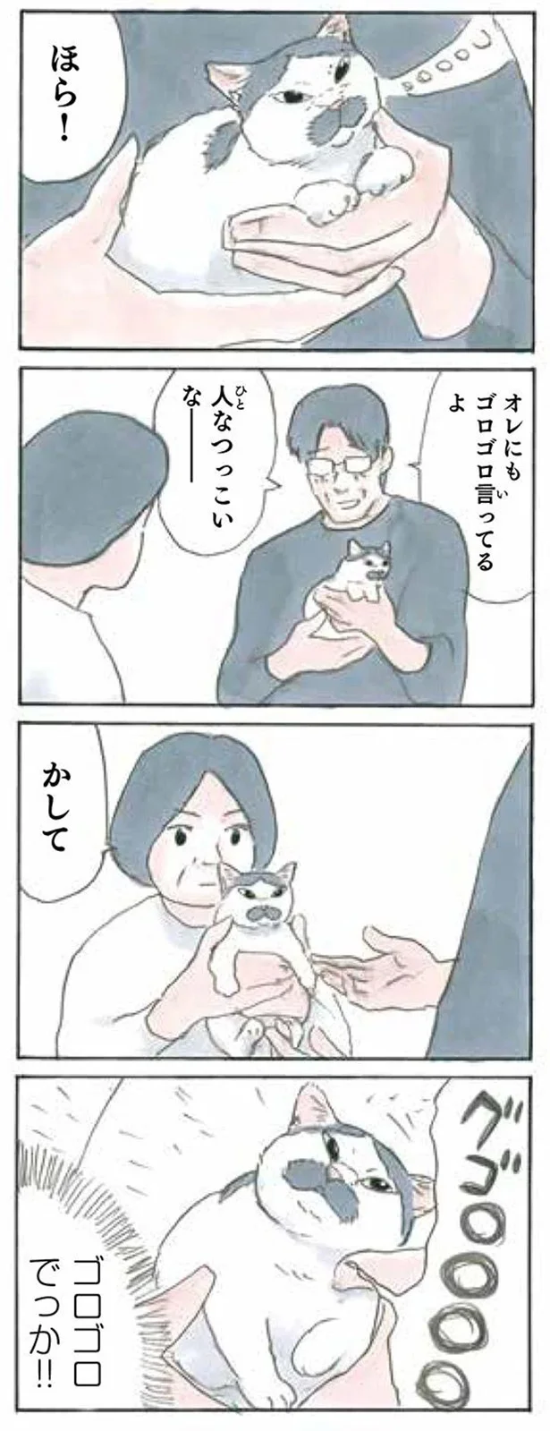 使い分けてる