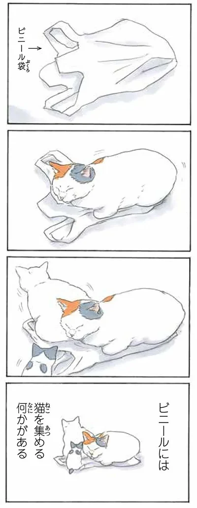 猫ホイホイ