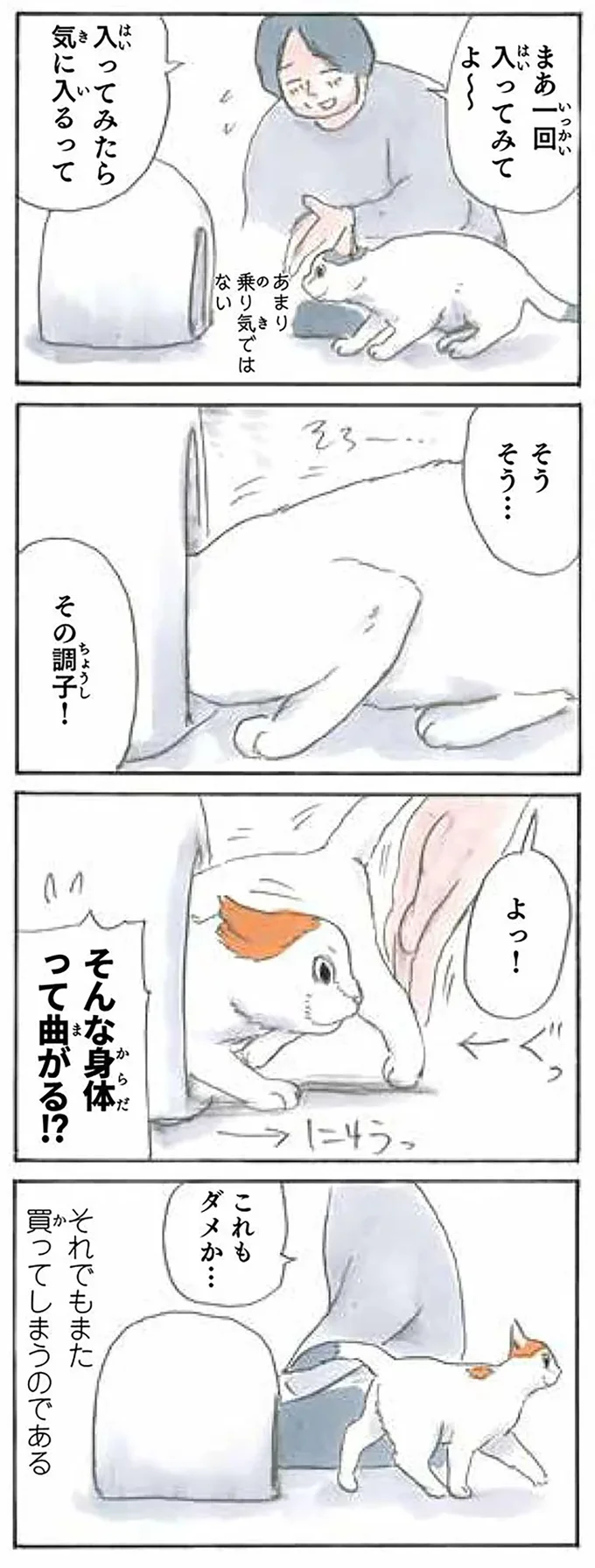 それでも買っちゃった