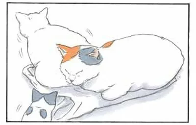 ビニールには猫を集める何かがある
