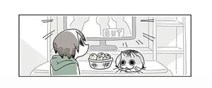 みかんを手に取ると、威嚇する猫！ ごめんね、食べないよ／夜は猫といっしょ（4）