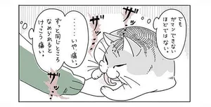 嬉しいんだけど、やっぱり痛い！ 対応に少し困る猫のかわいいグルーミング／夜は猫といっしょ（8）