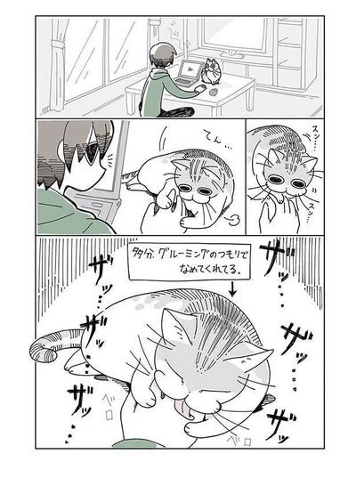 グルーミングのつもりで