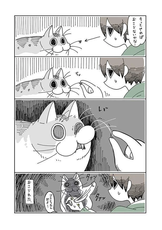 猫のヒゲ、触りたいけど触れない。なんとか無難に触れないかな？／夜は