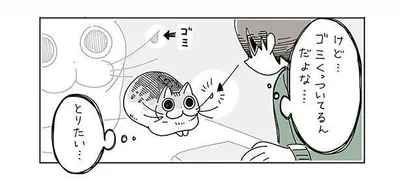 とりたい…