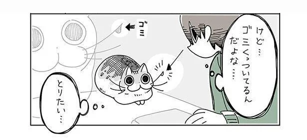 とりたい…