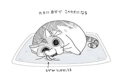 ヒゲがつっかかってる