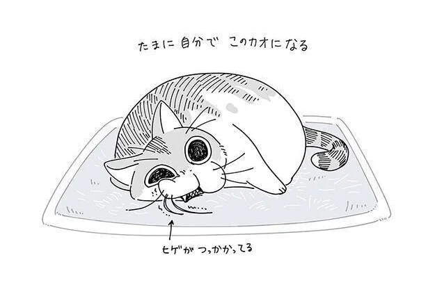 ヒゲがつっかかってる