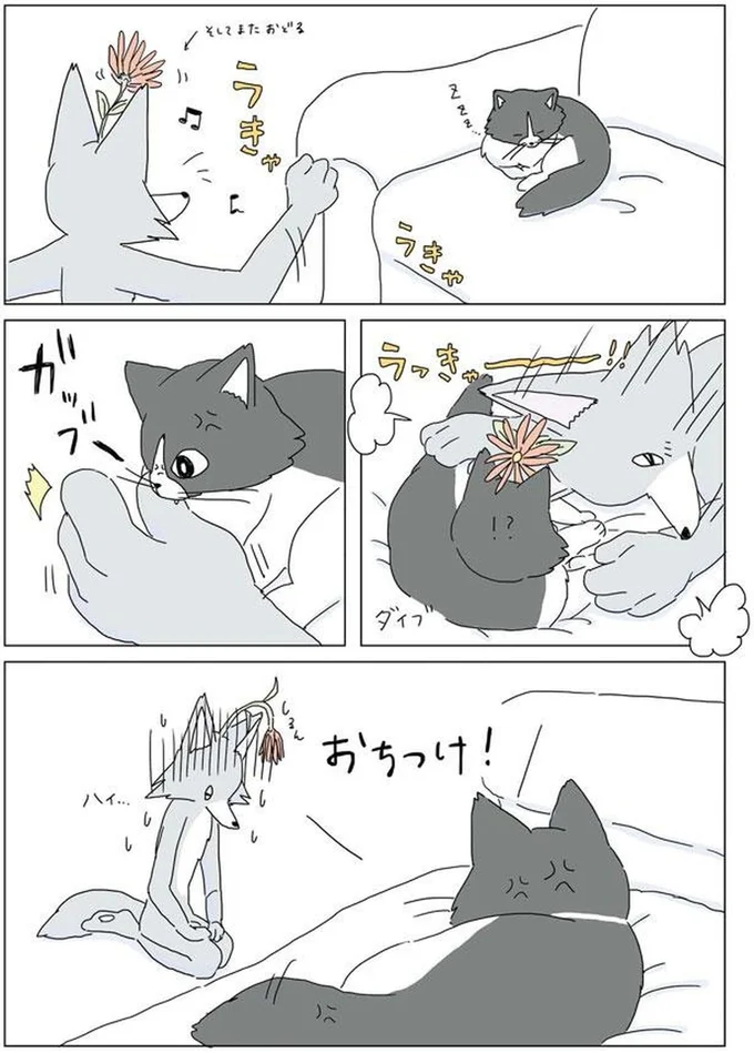 ガッブー
