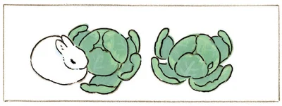 春
