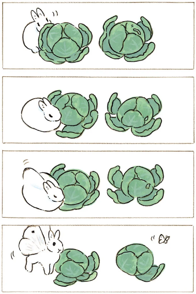 キャベツ