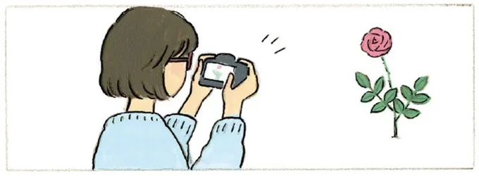 こんな風に見えたらいいな。一輪のバラをカメラにおさめて／うさぎ雲といっしょに（7）