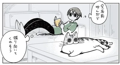 呼んだら振り向いてくれそう