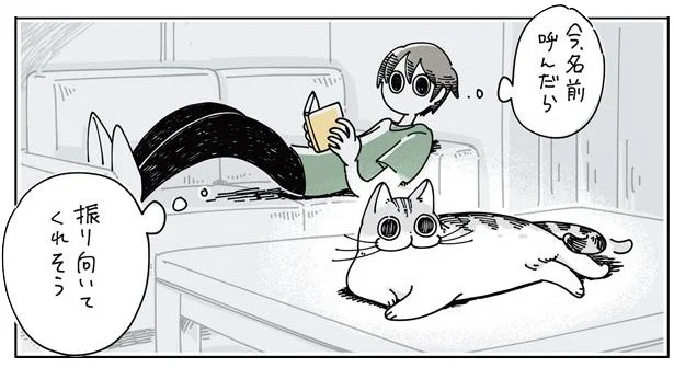 呼んだら振り向いてくれそう