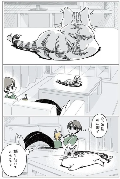 振り向いてくれるかな…
