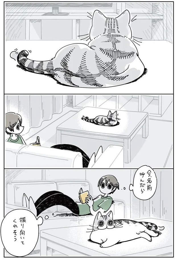 振り向いてくれるかな…