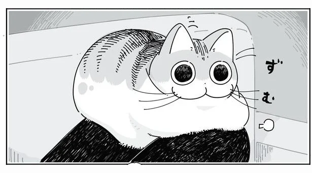  ずむ