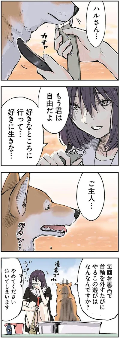 もう君は自由だよ