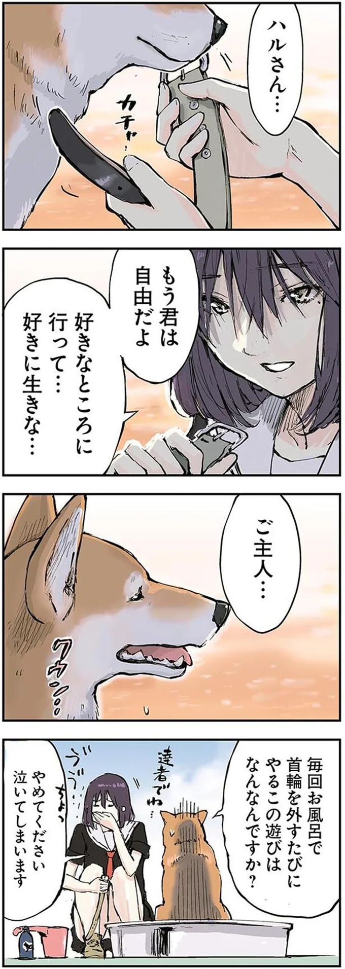 もう君は自由だよ
