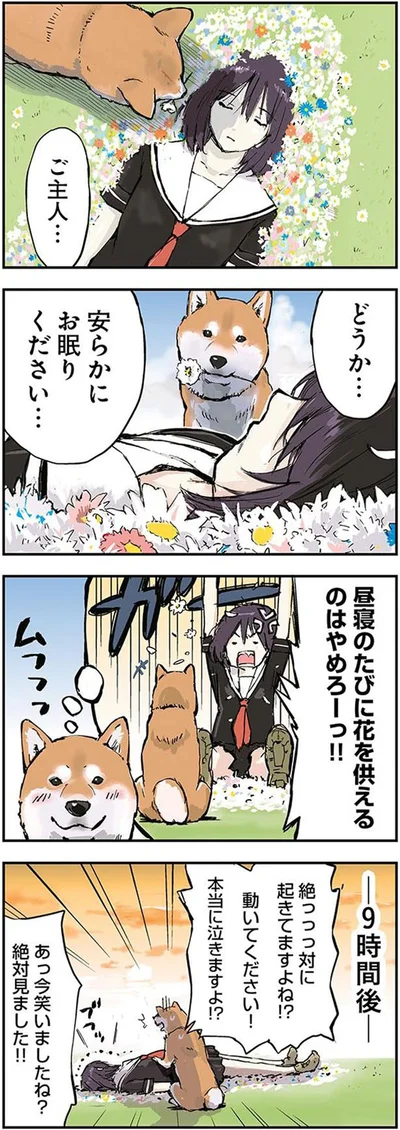 起きてますよね！？